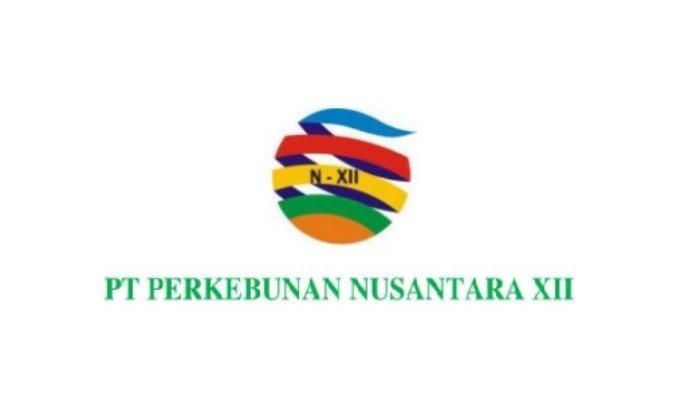 Lowongan Kerja PT Perkebunan Nusantara XII (Petugas House Keeping & Admin)